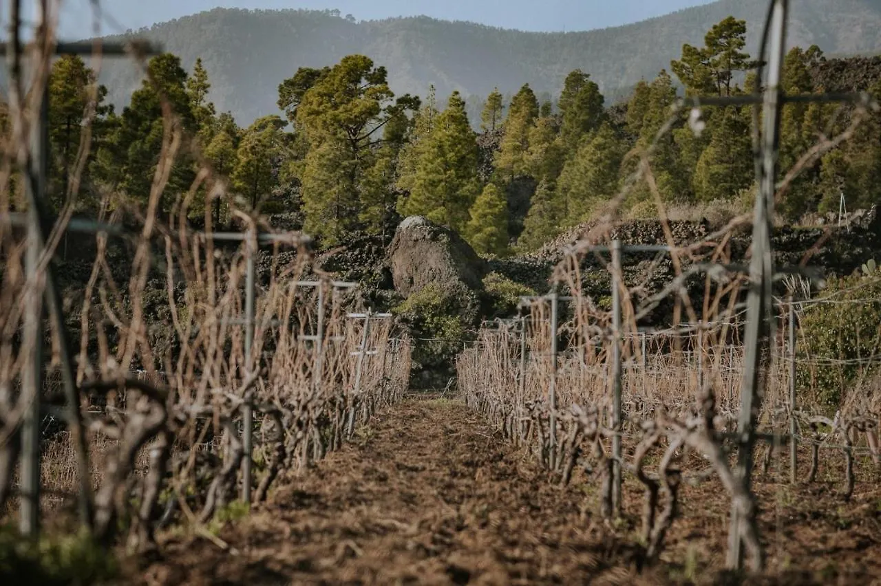 Finca Ecologica Ferrera. Alojamiento Rural. Arafo