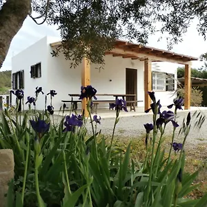 Sa Vinya Ferienhaus Es Cubells